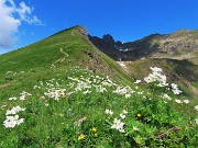 Splendide fioriture sui sentieri per i Laghi di Ponteranica in disgelo avanzato - 28giu24  - FOTOGALLERY